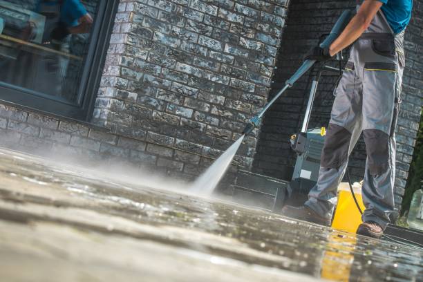 Best Gutter Cleaning  in Petersburg, IL